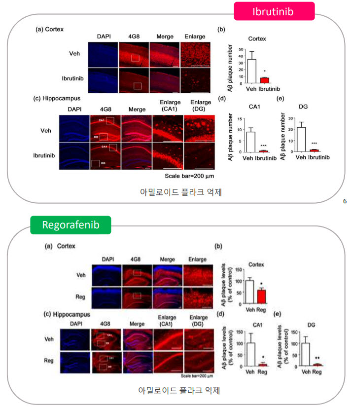 뇌연구원의 퇴행성 뇌질환 치료제를 활용한 아밀로이드 플라크 억제 양상