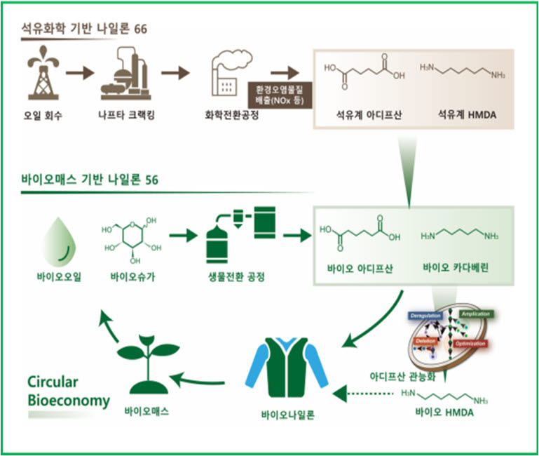 석유기반 나일론 제조공정과 바이오기반 나일론 제조공정을 비교한 그림. 바이오기반 나일론 공정은 이산화탄소 발생량이 적어 친환경적이다.