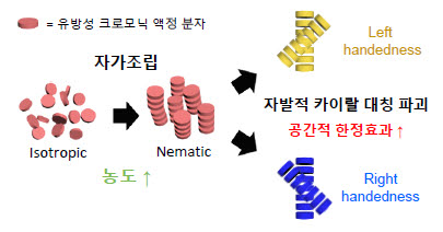 자발적 카이랄 구조체 형성 모식도. 사진출처=한국과학기술원