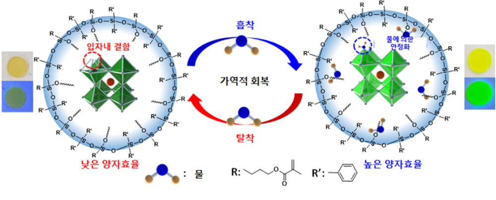 이번 연구에서 개발된 실록산 재료에 의해 캡슐화된 페로브스카이트 나노 입자 복합체의 개념도 및 사진