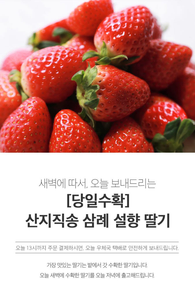 Photo Image
