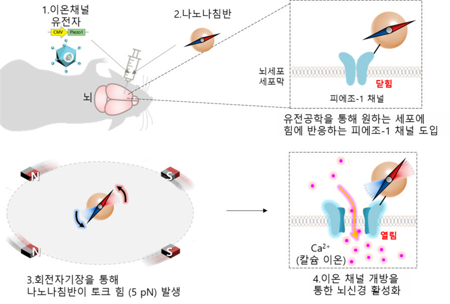 나노 자기유전학 기술 개요