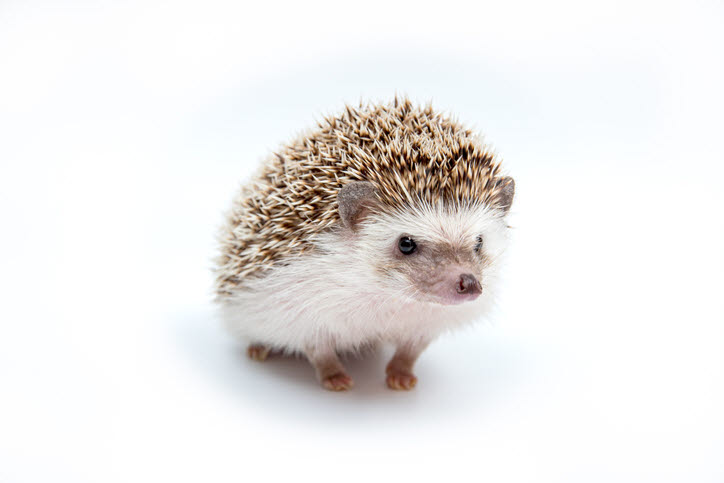 [사설]대책 필요한 신산업 경쟁력