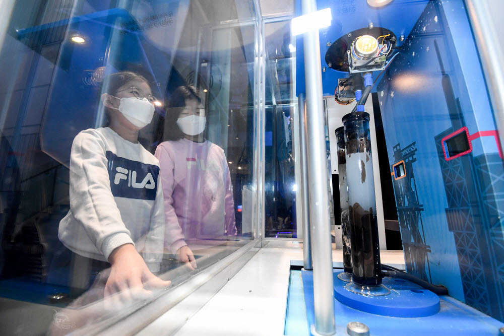 주말 경기 과천시 국립과천과학관에서 관람객이 로켓발사체 체험을 하고 있다.