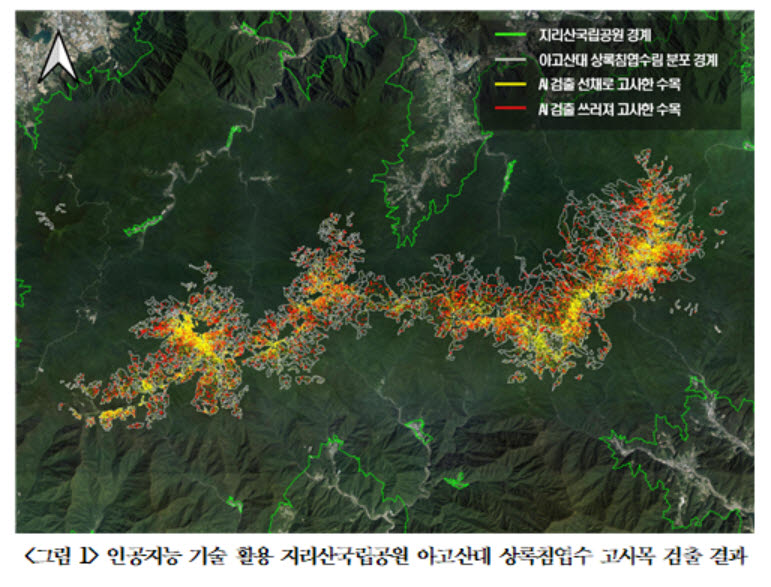 전문가 1년 걸리는 지리산 고사목 파악 AI로 이틀만에