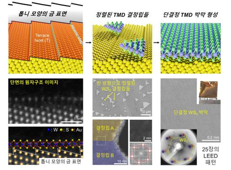 단결정 2차원 반도체 합성 모식도 및 실제 실험 결과