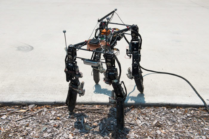 오슬로대 연구진이 개발한 다이렛 로봇. <사진=오슬로대학교>