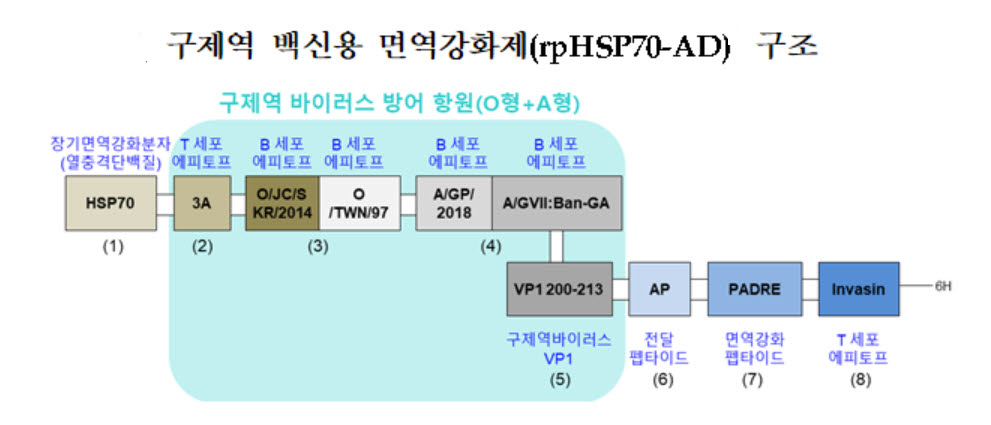 국내서 구제역 백신용 면역강화제 개발