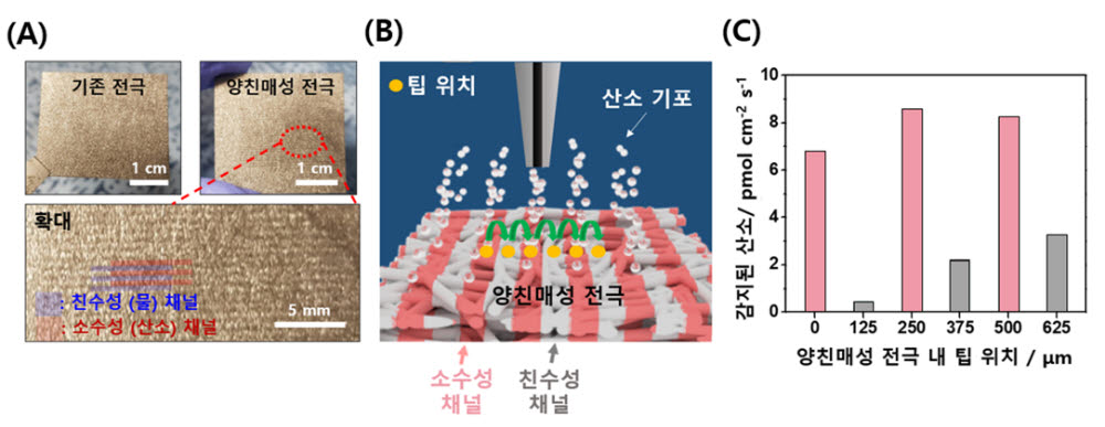 개발 전극의 물 흡수 결과, 관련 전기화학적 주사현미경 실험 모식도 등