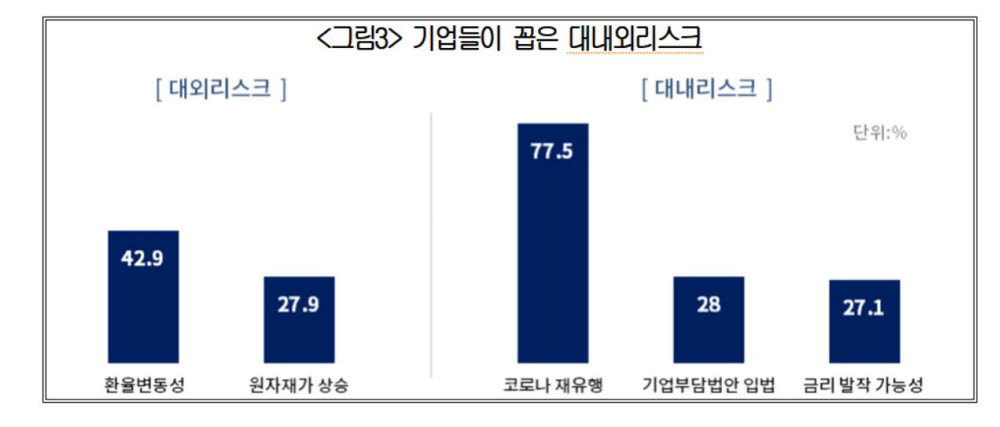 대내외 리스크 현황(자료: 대한상의)