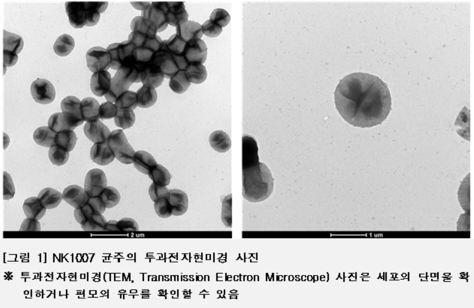 국립생물자원관, 신경계 독성물질 분해 균 발견