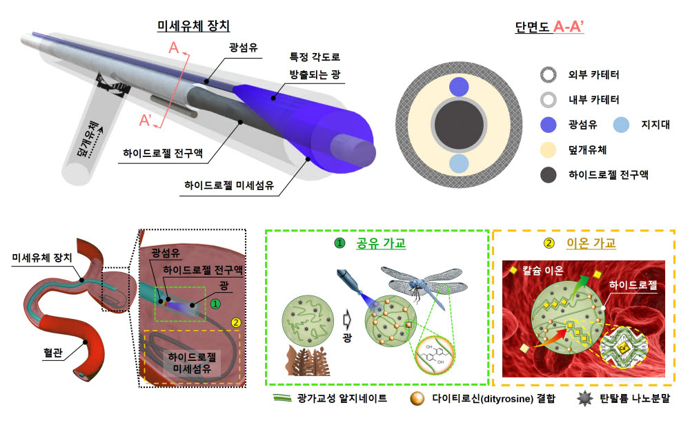 연구관련 이미지