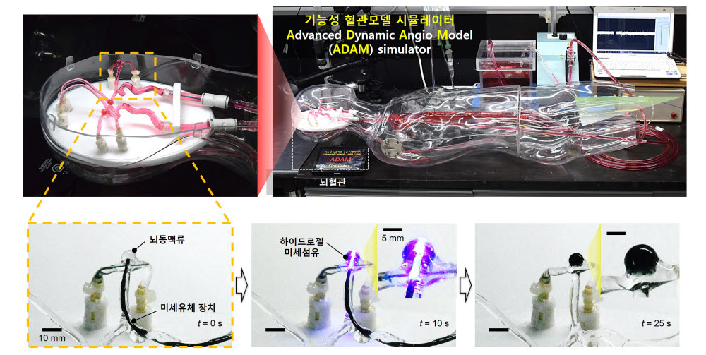 연구관련 이미지