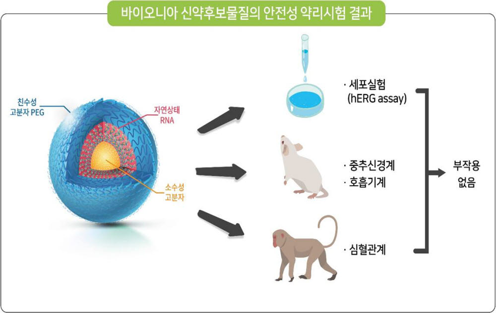 바이오니아 신약후보물질 안전성 약리시험 결과도. 사진출처=바이오니아