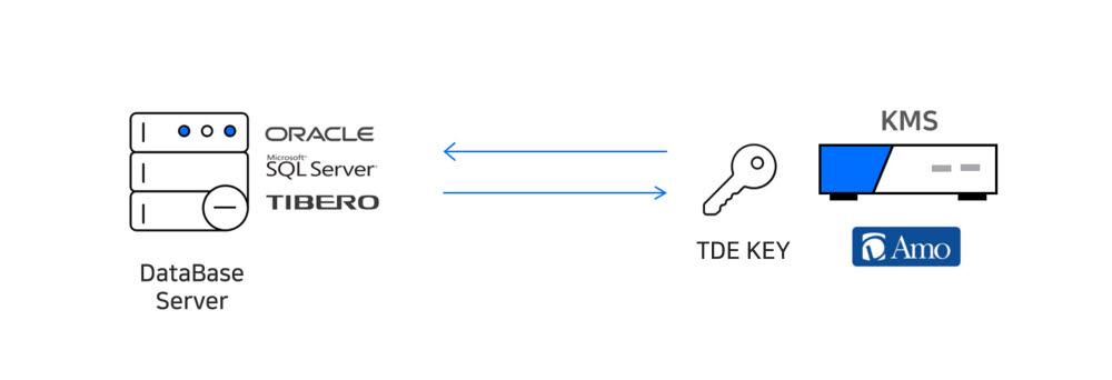디아모 KMS TDE 키 연동 개요. 펜타시큐리티시스템 제공