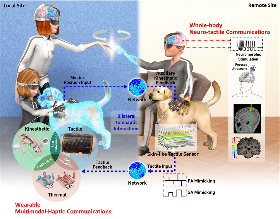 착용형, 피부 부착형, 신경 햅틱 인터페이스를 통한 텔레-햅틱 모식도