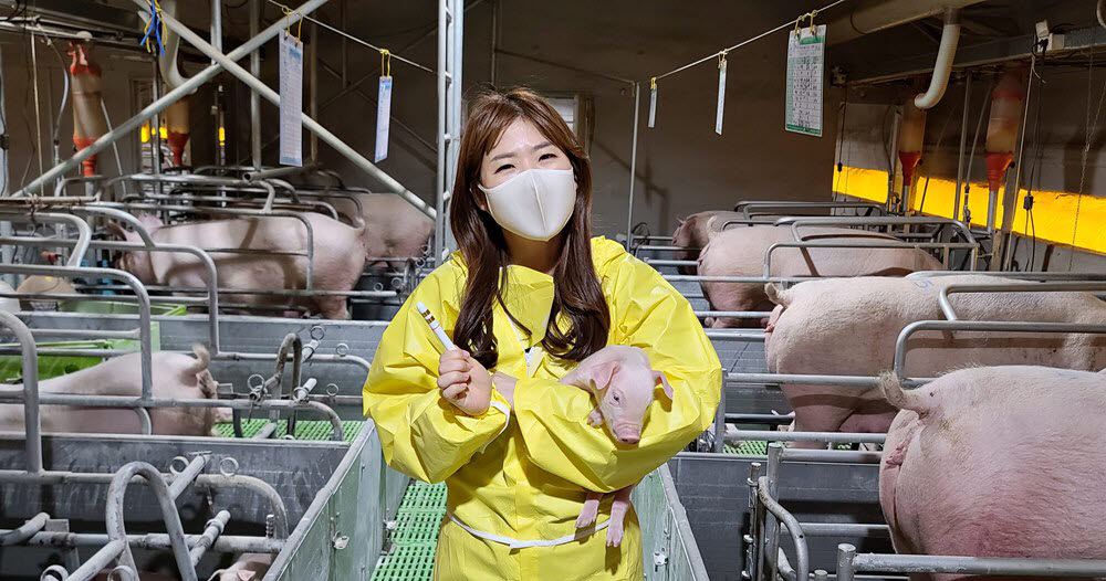 김희진 유라이크코리아 대표와 라이브케어 돼지.