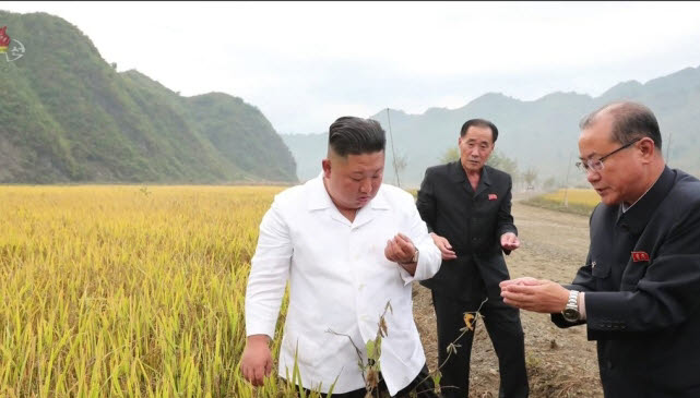 [제공=연합뉴스]