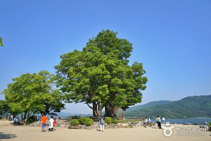 양평 두물머리