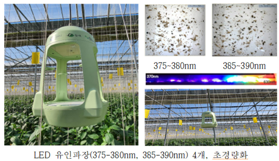 농진청, 온실 해충 파악해 AI로 방제 방법도 알려줘