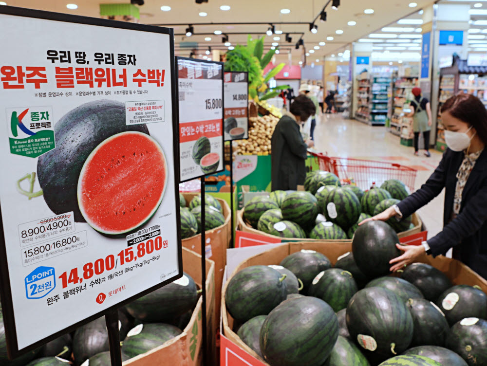 롯데마트에서 고객들이 국산 신품종 수박을 고르고 있다.