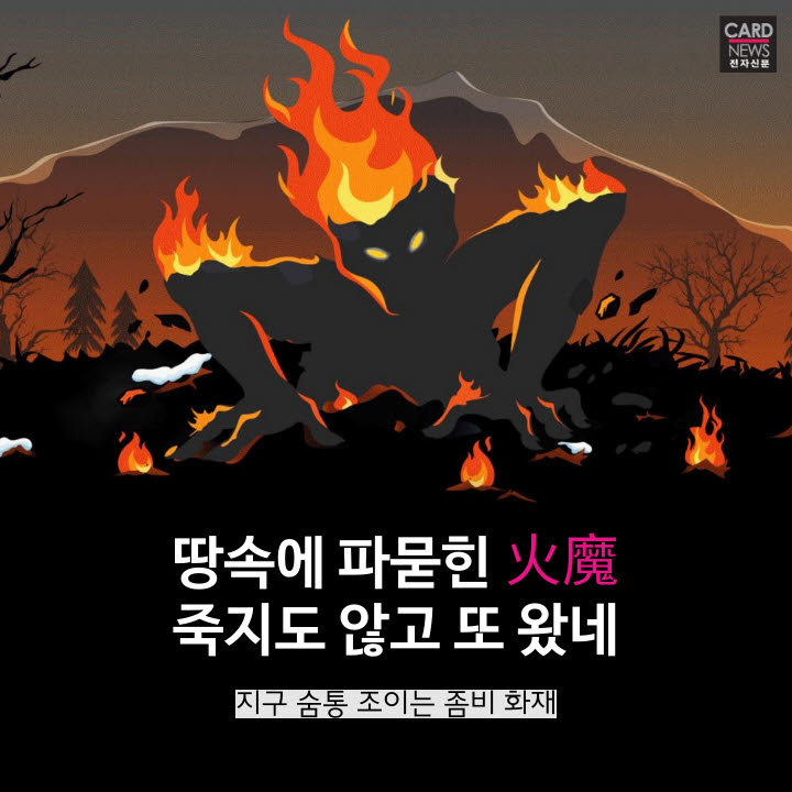 [카드뉴스]죽지 않는 불씨 '좀비 화재'