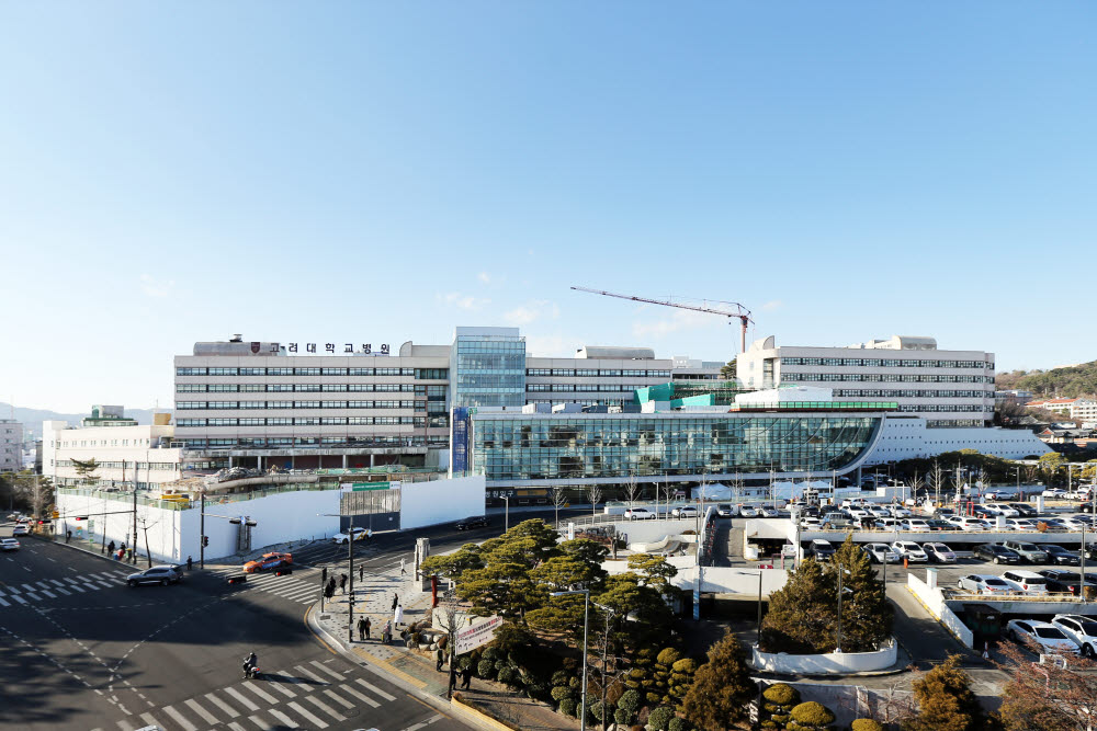 최근 클라우드 기반 병원정보시스템 P-HIS를 전면 도입한 고려대학교 안암병원 전경