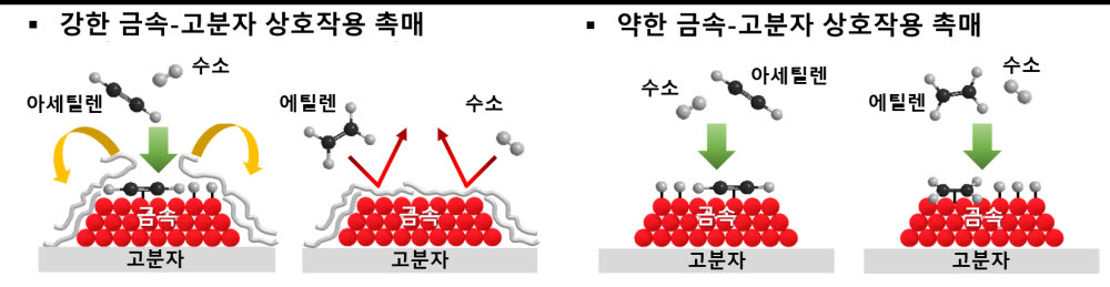 금속-고분자 상호작용에 따른 아세틸렌 및 에틸렌 수소화 반응 모식도