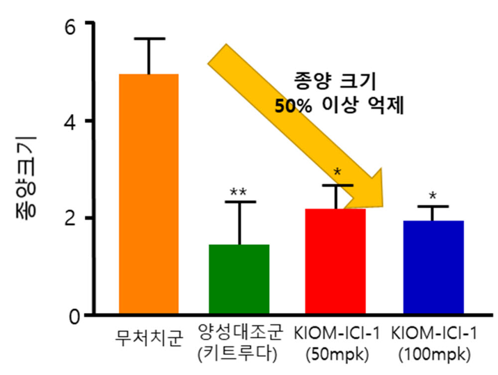 한의기반 면역항암제 KIOM-ICI-1의 종양 억제 효과