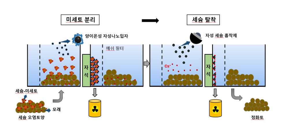 자성 분리기술을 이용해 방사성 오염토양으로부터 세슘을 선택적으로 제거하는 모식도