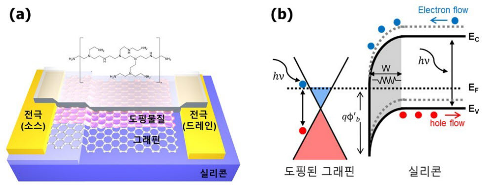 도핑된 그래핀-실리콘 광센서 모식도