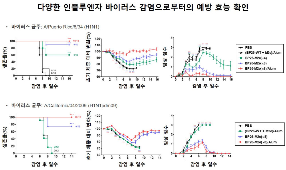 개발 백신은 단백질 나노구조체접종을 통해, 다양한 인플루엔자 바이러스 감염으로부터 동물을 효과적으로 보호한다.