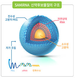 SAMiRNA 신약후보물질 구조 사진출처=바이오니아