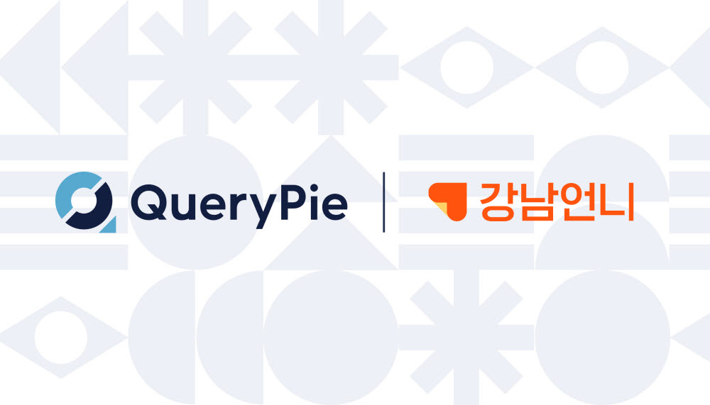 강남언니, 데이터 거버넌스 솔루션 'QueryPie' 도입