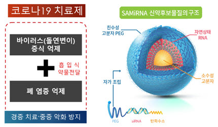 흡입식 코로나19 치료제 개요와 신약후보물질 구조. 사진출처=바이오니아