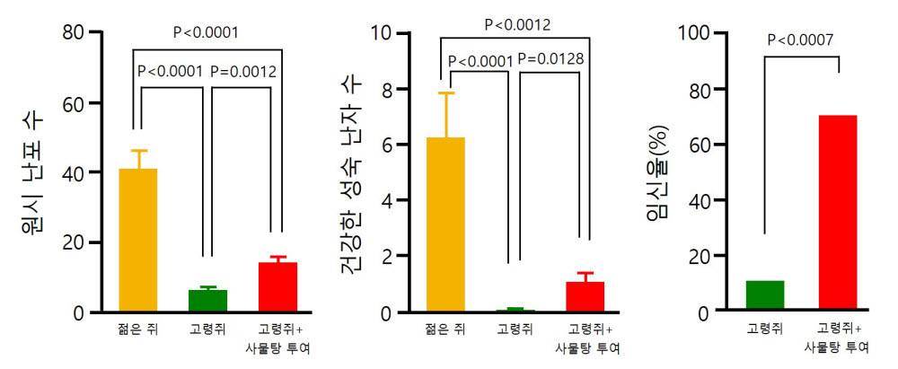 사물탕의 난임 개선효능 규명연구 결과