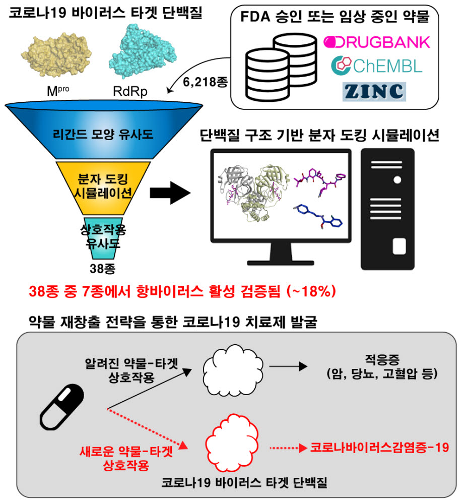 약물 가상 스크리닝 기술을이용한 코로나19 치료제 개발 과정 개요