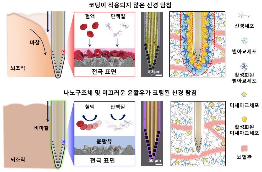 개발 코팅을 적용한 탐침은 뇌조직 마찰이 적어 조직 손상이 최소화 된다. 뇌면역세포 활성, 세포부착도 현저히 적다.