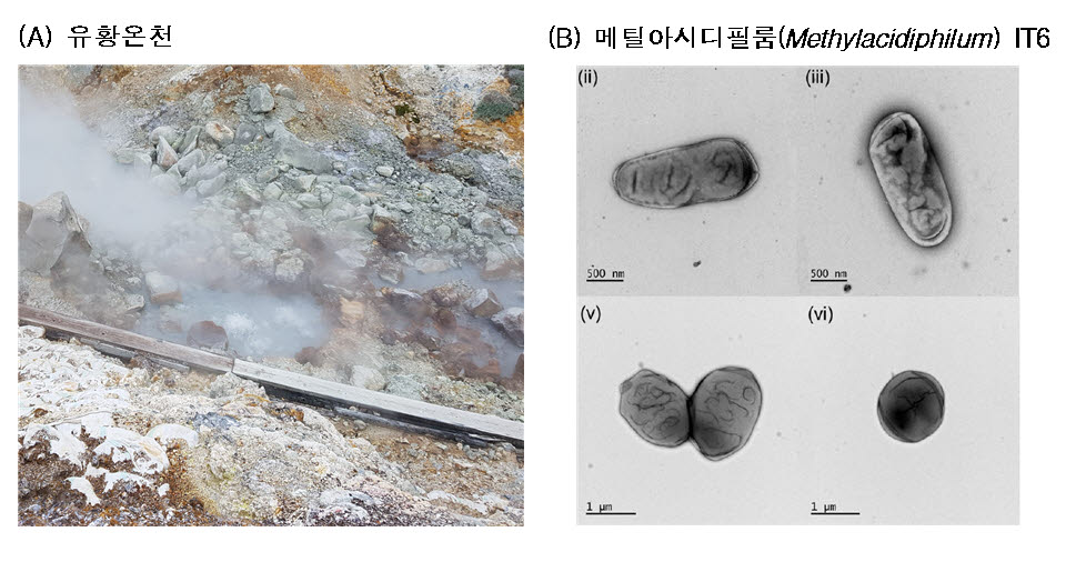 충북대 연구팀 극한 서식 미생물로 천연가스 분해원리 규명