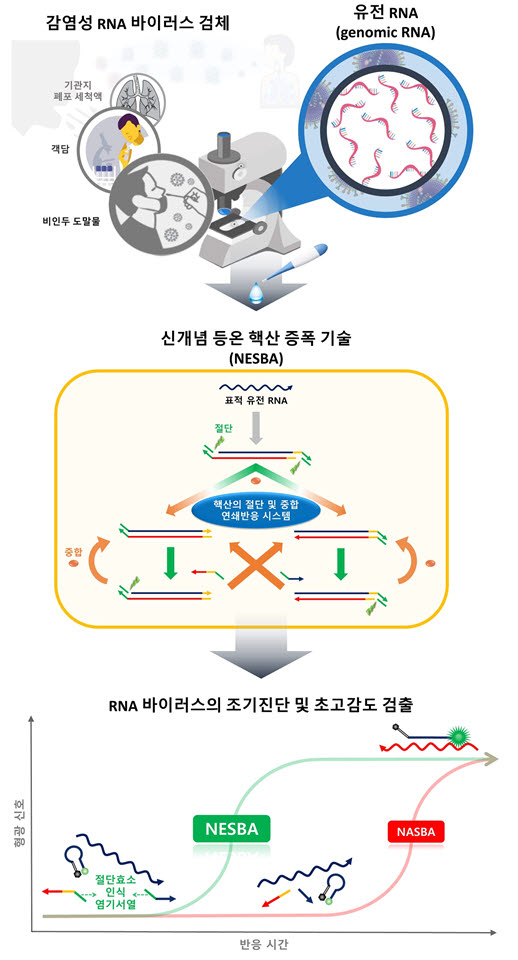 KAIST의 신개념 등온 핵산 증폭기술