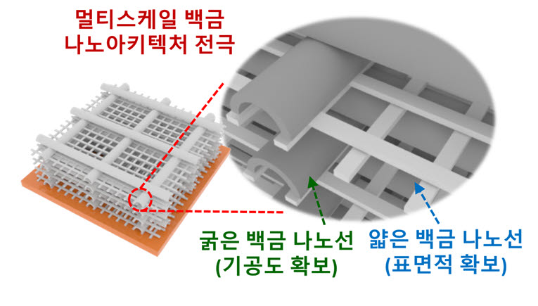 철골구조와 비슷한 형태의 멀티스케일 백금 나노 아키텍처 전극 모식도