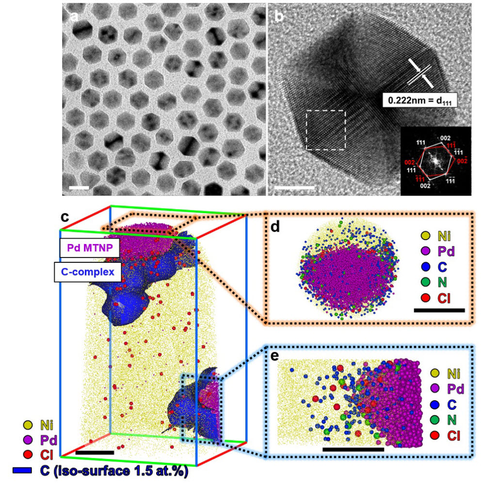원자 단층 촬영 현미경 등으로 분석한 팔라듐 나노입자와 리간드 분포