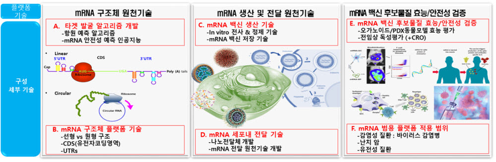 mRNA 기반 신약개발 플랫폼 구축 및 원천기술 개발 사업 개요