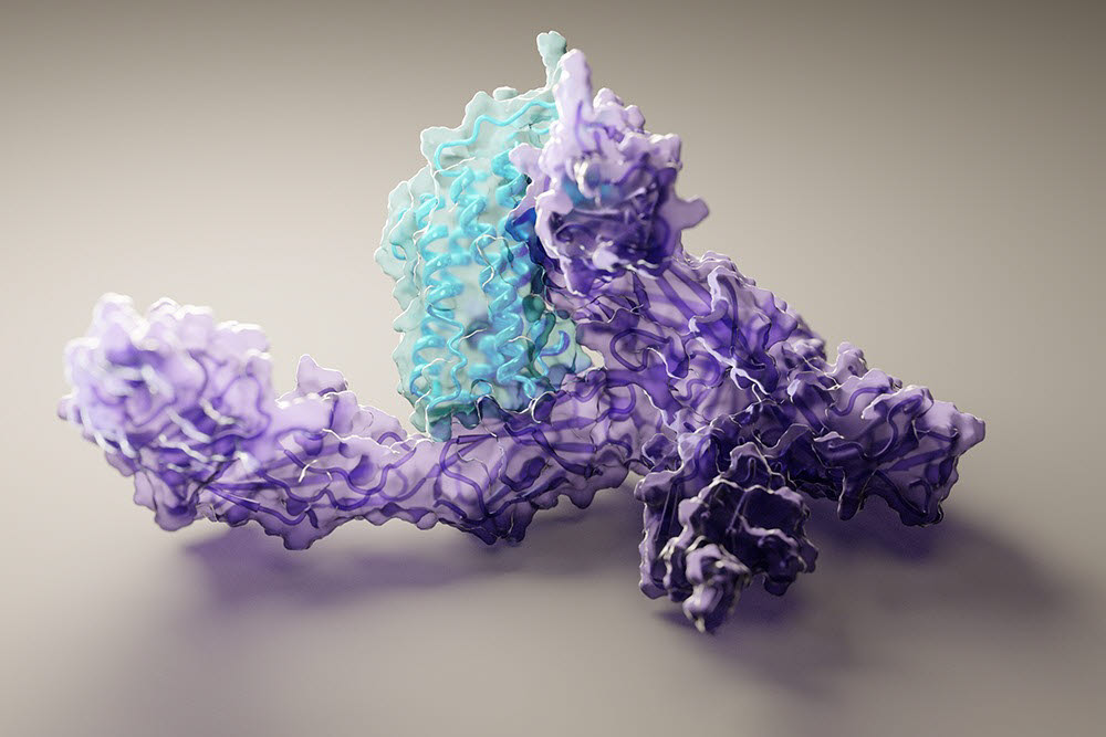 로제타폴드가 예측한 단백질의 3차원 구조. (출처: 로제타폴드)