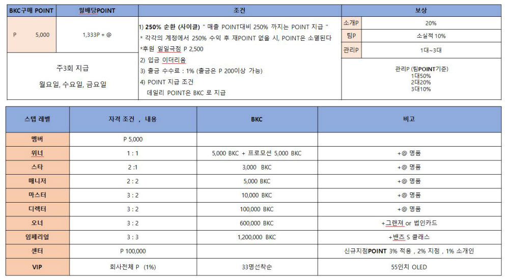 뱅크코인 사업 설명서. <출처=제보>