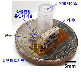 약물 전달 기능을 갖춘 마이크로니들 전극어레이로 구성된 3차원 다기능 유연 뇌 인터페이스