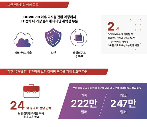 베리타스 보안 취약성 조사 결과 개요. 베리타스 제공