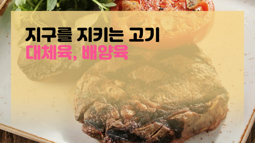 [카드뉴스]진짜 같은 고기 대체육·배양육