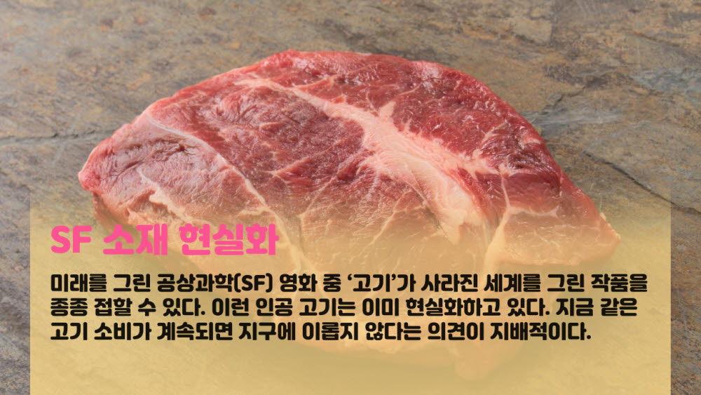[카드뉴스]진짜 같은 고기 대체육·배양육