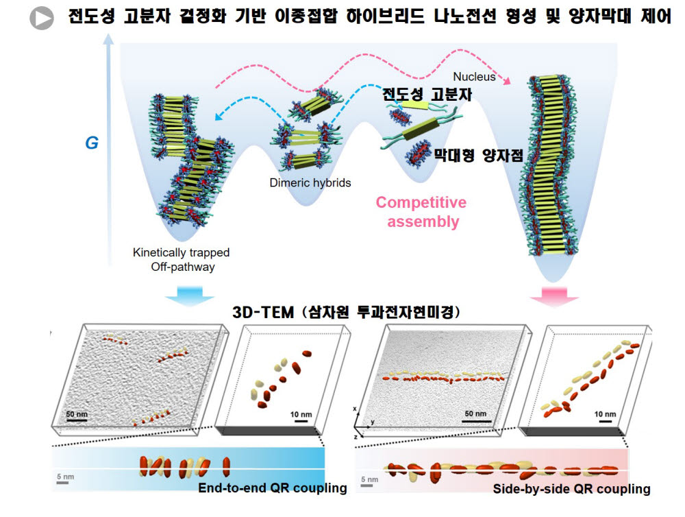 자가조립 고분자의 결정화 구속효과에 의한 양자막대의 위치, 정렬 및 배향제어.